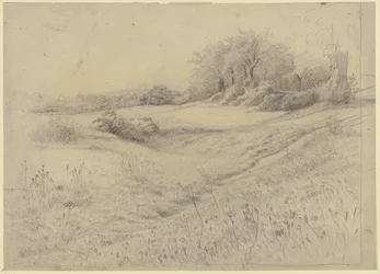 Skovlandskab nær Kronberg