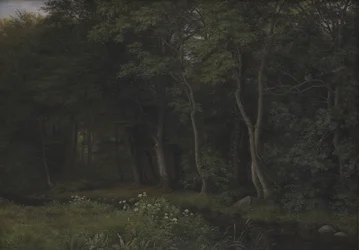 Twilight Setting in a Wood nær Iselingen Gods, Sjælland