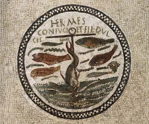 Mosaik med anker omgivet af fisk, symbol på Kristus og hans tilhængere, katakomberne i Sousse, Tunesien, tidlig kristen periode, 4. århundrede