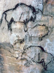 Såret bison, Magdalenian (hulemaleri)