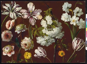 Lilla tulipaner, hvidblomstrende prunus, narcissus og pink krysantemum (olie på papir)