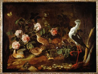 Stilleben med ugle og ibis - Nature morte avec une chouette et un ibis ...