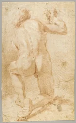 Tegning