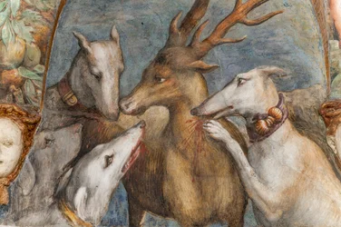 Aktaion, forvandlet til en hjort, bliver ædt af sine egne hunde, fra Diana og Aktaions værelse, nordvæggen, detalje af 2384753