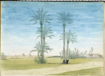 Egypten: "" Pyramids of Gyze (Guizeh, Guiseh, Giza) Tegning af Pascal Coste (1787-1879) Museum of Mediterranean Archaeology, Marseille