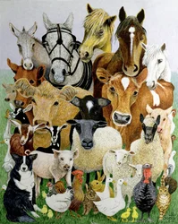 Animal Allsorts (akryl på calico)