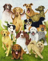 Dog Days (olie på lærred)