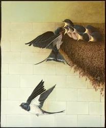 Hungry Mouths, 2011 (akryl på calico)