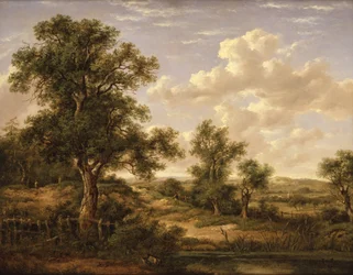 Hedeområde nær Godstone