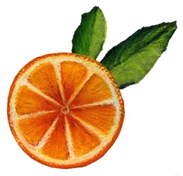 Fruit, 2021 (Akryl på papir)