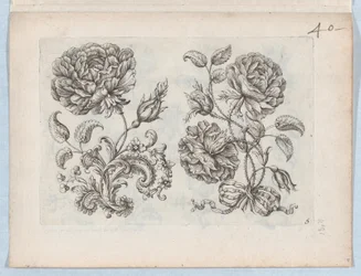 Serie af små blomstermotiver, tavle 5, ca. 1670-85., ca. 1670-85.