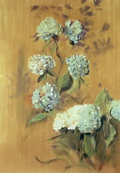 Hortensia (pastel på papir)