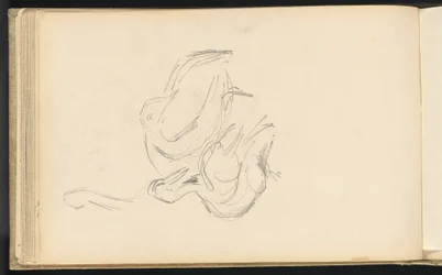 Pelikaner