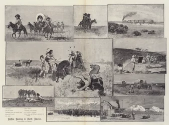 Bøffeljagt i Nordamerika