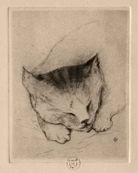 Seks ætsninger: Head of a Kitten, 1895.