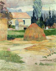 Landskab nær Arles