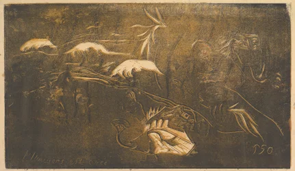 Universet er skabt, 1893-94.