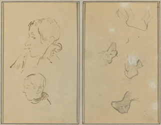 To Hoveder; Studier af får [recto]