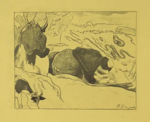 Vaskekoner, 1889