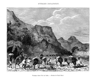 Landskab på øen Cuba, 1800-tallet