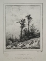 Landskaber: Unge elmetræer, 1829.
