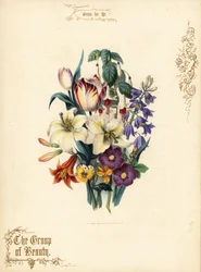 Buket af liljer, tulipan, fuchsia, tigerlilje.