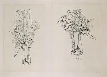 Tulipaner