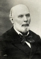 Portræt af Jules Grevy (foto)