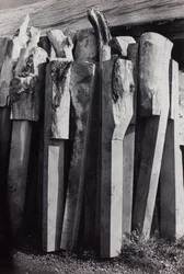 Totems