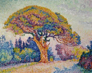 Signac, fyrretræet ved Bertaud