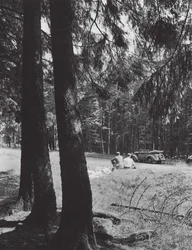 Et hvil i en skov, Bayern (s/h-foto)