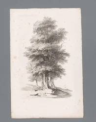 Gruppe med fem træer Principper for landskaber (serietitel) Principles de paysages (serietitel)