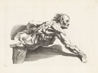 Anatomisk undersøgelse af lænende mand Tegnebogen af ​​Peter Paul Rubens (serietitel)