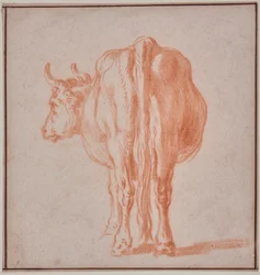 Ko (dyreundersøgelse)