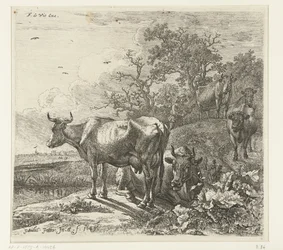hyrden