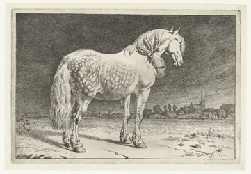 Den frieske hest Heste (serietitel)