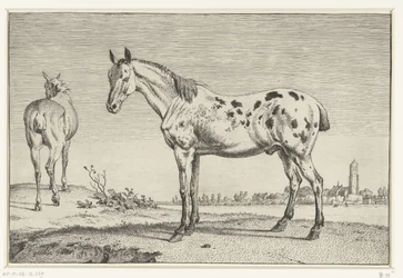 Den kuperede hest Heste (serietitel)