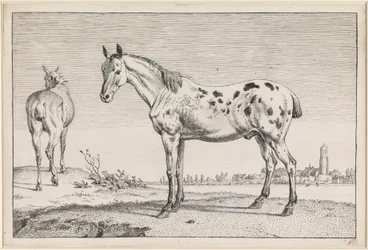 Den halekuperede hest