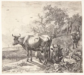 Kohyrden