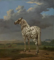 Broget hest, ca. 1654