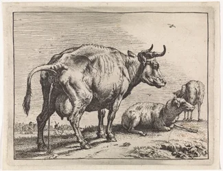 Pis The Bullen pjece (serietitel)