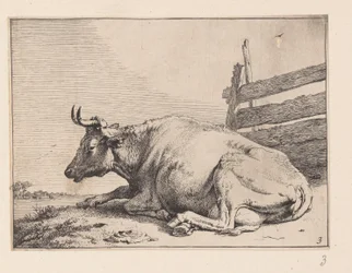 Koen, der ligger ned ved et hegn, fra Forskellige okser og køer