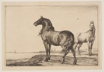 Den beskårne hest, fra Serie af heste