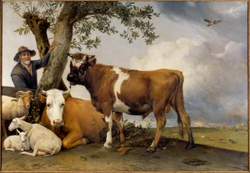 Den unge tyr. En hyrde og hans kvæg: vædder, lam, ko og tyr. Maleri af Paul Potter (1625-1654), 1647. Lærred. 2,36 x 3,39 m. Haag, Mauritshuis.