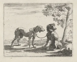 To hunde Hunde (serietitel)