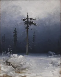 Træ i en vinterskov