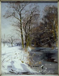 Solrig vinterdag