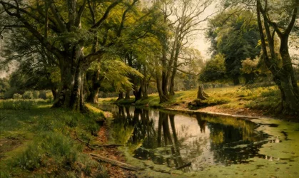 Stille vand i skoven