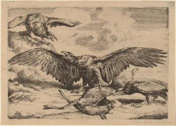 Ørne
