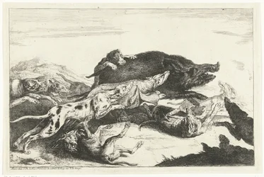 Hunde jagter en orne